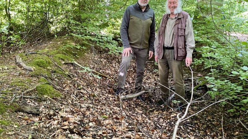 Historische Anlage in Düsseldorf: Alte Wälle und Gräben im Wald begeistern die Forscher