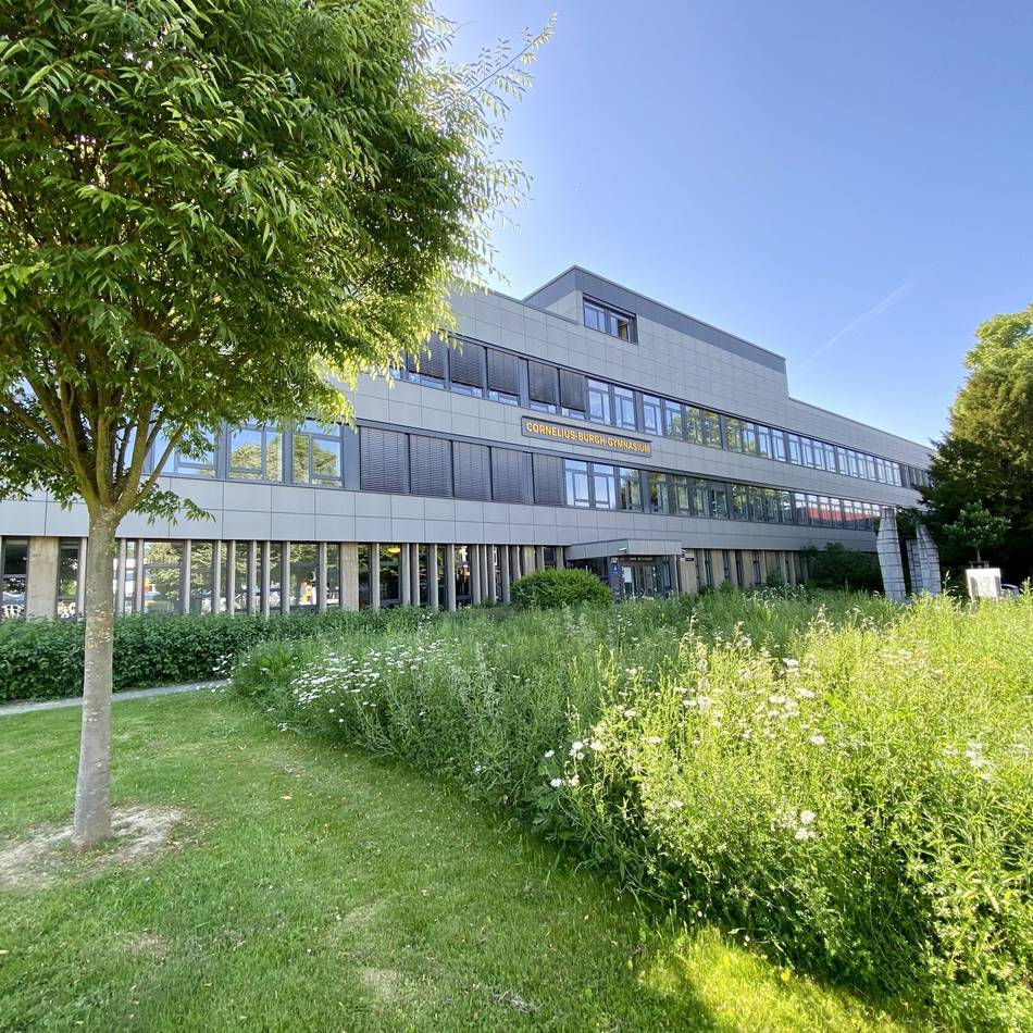Schulfest am Erkelenzer Cornelius-Burgh-Gymnasium: Mit dem CBG auf Zeitreise