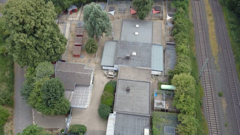 Kostenbeteiligung für das Tierheim Oekhoven: Jüchen zahlte zu viel für Versorgung von Streunerkatzen