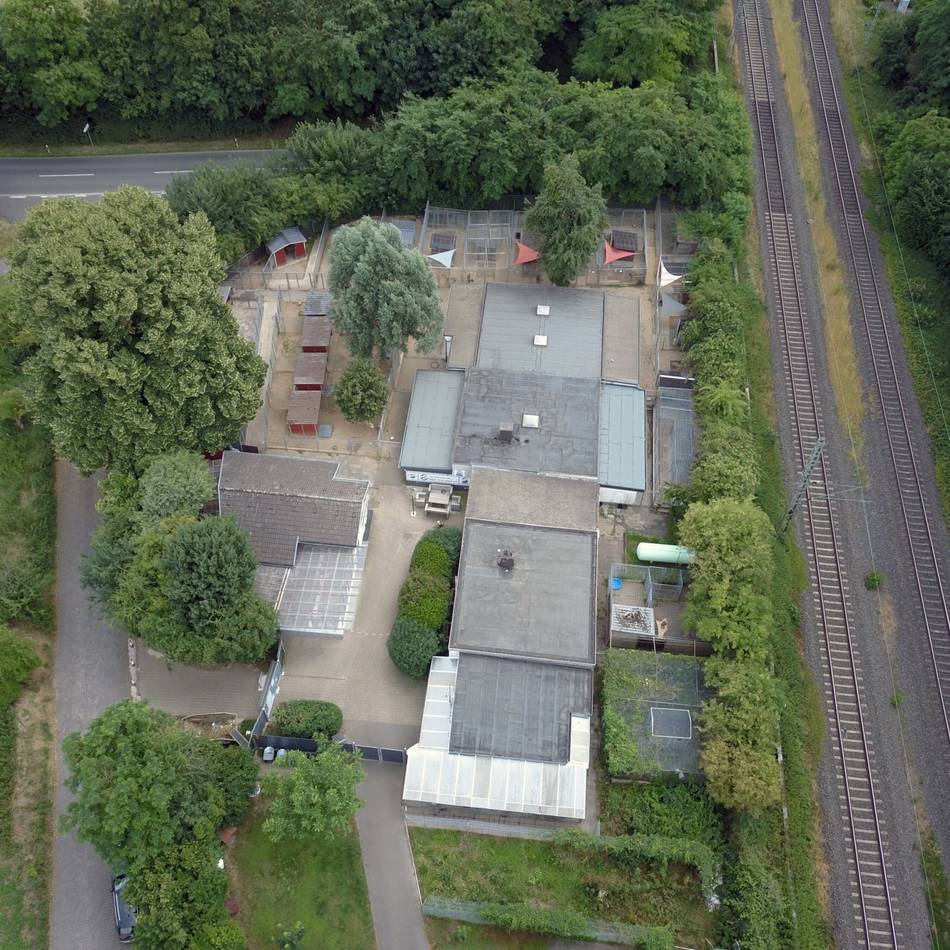Kostenbeteiligung für das Tierheim Oekhoven: Jüchen zahlte zu viel für Versorgung von Streunerkatzen
