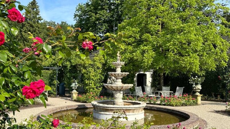 Rosenfest und Kunstwochenende: In den Schlossgärten Arcen blühen wieder die Rosen