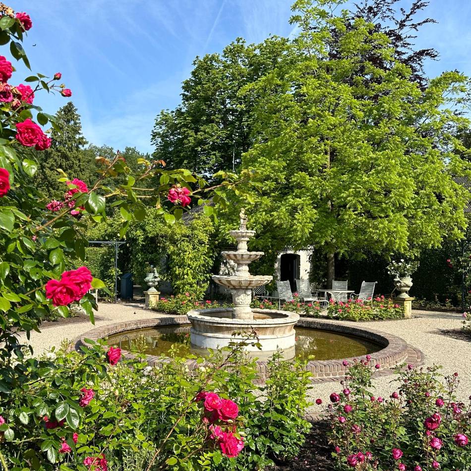 Rosenfest und Kunstwochenende: In den Schlossgärten Arcen blühen wieder die Rosen