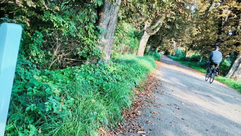 Fietsallee in Neuss: Stadt lässt Kunstprojekt am Nordkanal verschwinden