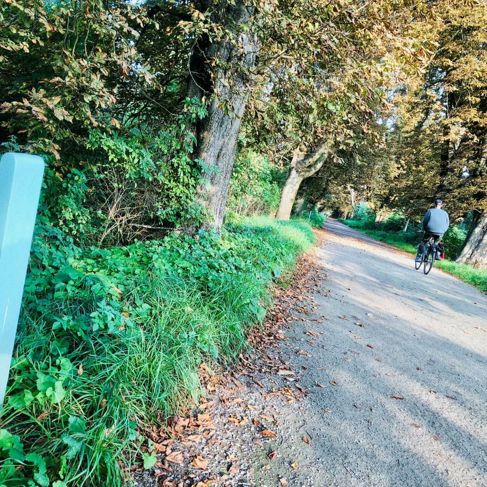 Fietsallee in Neuss: Stadt lässt Kunstprojekt am Nordkanal verschwinden