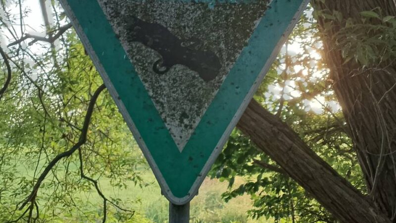 Naturschutzgebiete im Kreis Wesel: Beschilderung „verbesserungswürdig“ – Behörde bedankt sich bei Bürgern