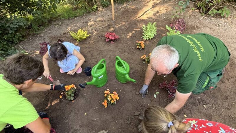 Schulprojekt in Rheinberg: Blumenprojekt an der Grundschule Am Annaberg begeistert Erstklässler