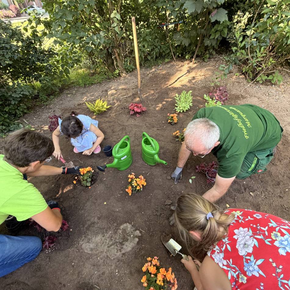 Schulprojekt in Rheinberg: Blumenprojekt an der Grundschule Am Annaberg begeistert Erstklässler