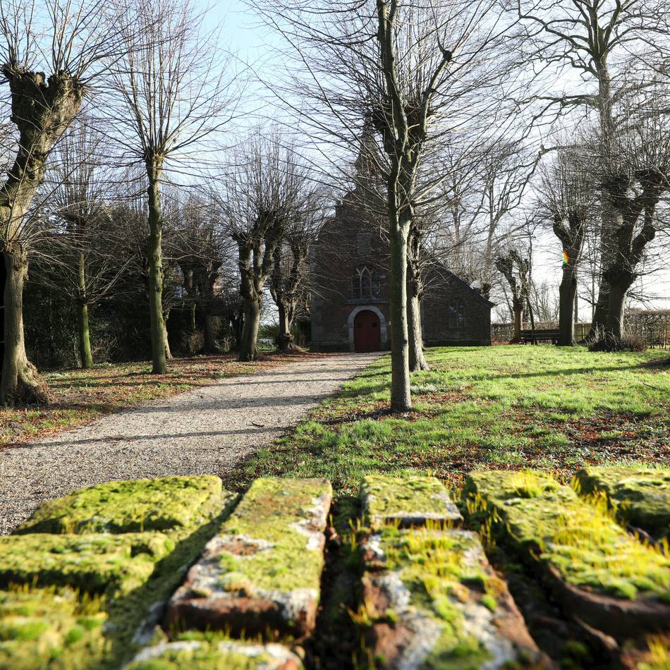 Lesung mit Musik in Xanten: Kapelle wird zur Bühne für Calvinos „Der Baron auf den Bäumen“