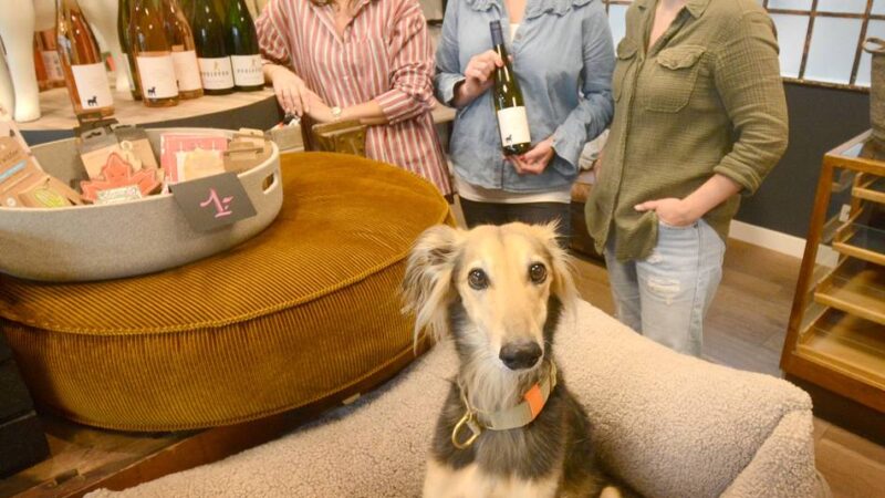 Sam‘s Hundemarkenmanufaktur in Kaarst zieht um: „Es soll immer wieder Neues zu entdecken sein“
