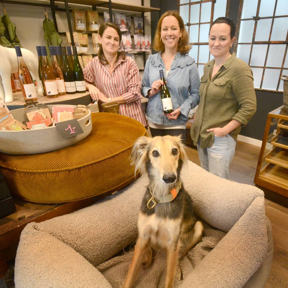Sam‘s Hundemarkenmanufaktur in Kaarst zieht um: „Es soll immer wieder Neues zu entdecken sein“