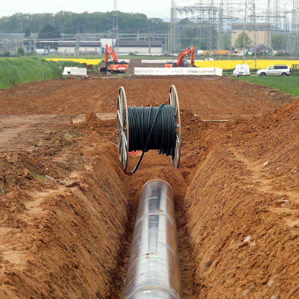 „Delta Rhine Corridor“: Für eine Pipeline sollen in Duisburg ganze Wälder abgeholzt werden