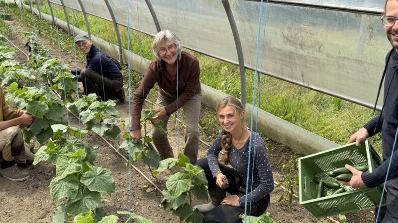 Kremershof in Wipperfürth: Landwirtschaft mal anders – ökologisch, nachhaltig und gemeinsam