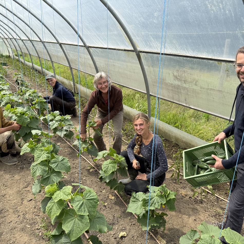 Kremershof in Wipperfürth: Landwirtschaft mal anders – ökologisch, nachhaltig und gemeinsam