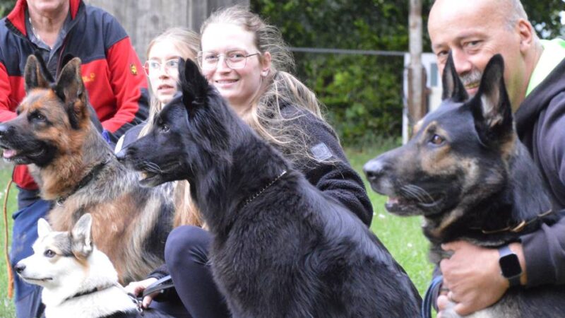 Hundesportverein in Wermelskirchen: Hier treiben Mensch und Tier gemeinsam Sport
