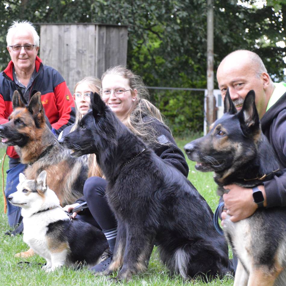 Hundesportverein in Wermelskirchen: Hier treiben Mensch und Tier gemeinsam Sport