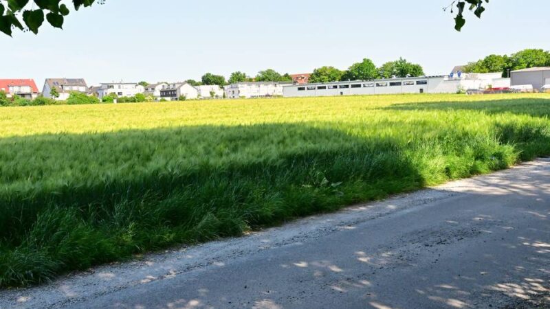 Wohnungsbau in Dormagen: Vier Mehrfamilienhäuser und eine neue Kita durch Bau-Turbo