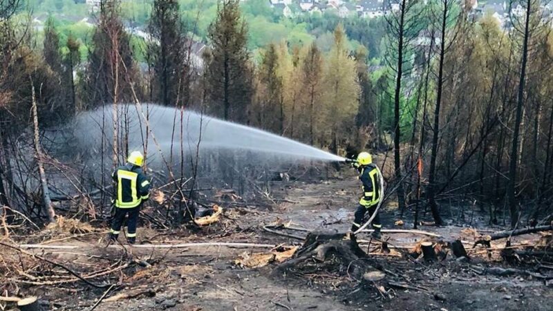 Hückeswagener Feuerwehrchef warnt vor Waldbrandgefahr: Wie eine Zigarette eine Katastrophe auslösen kann