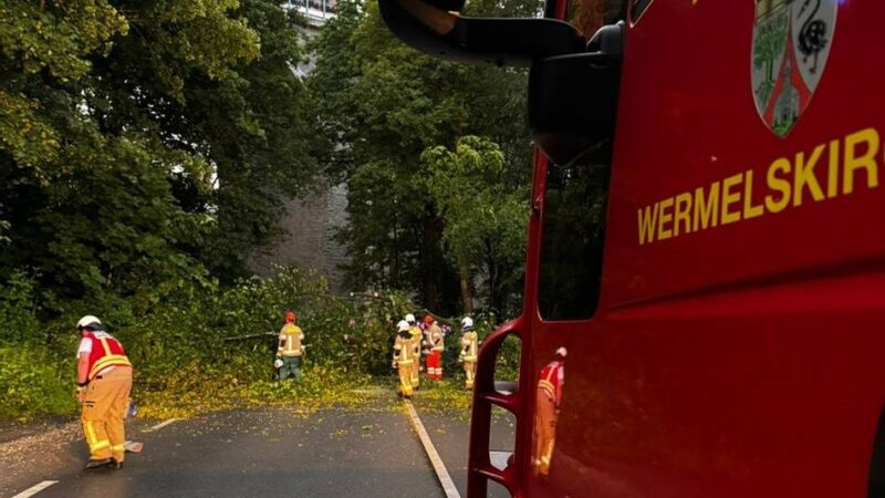 Unwetter in Wermelskirchen: Acht Bäume auf der Fahrbahn, ein Keller unter Wasser