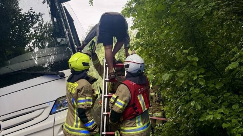 Vermeintliche Abkürzung: Linienbus auf Waldweg von Fahrbahn abgekommen