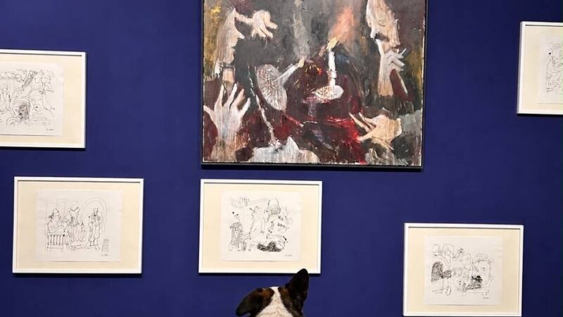 Museum Schloss Moyland: Plötzlich dürfen Hunde zu Armin Mueller-Stahl ins Museum