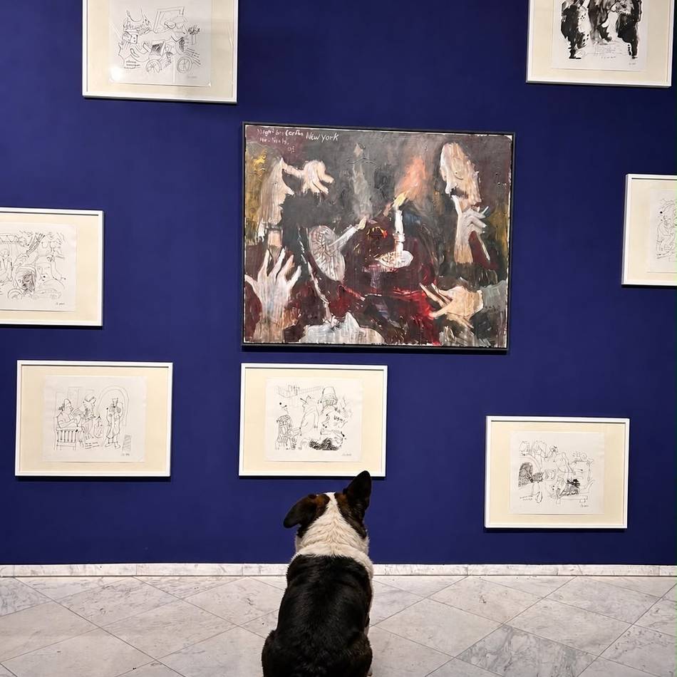 Museum Schloss Moyland: Plötzlich dürfen Hunde zu Armin Mueller-Stahl ins Museum