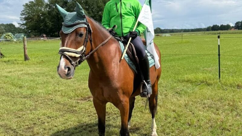 „Goldene Schärpe“ in Löningen: Vielseitigkeitsreiterin Johanna Barten gewinnt Bronze