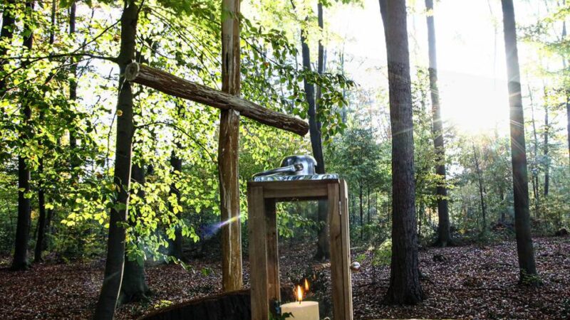 Stadtentwicklung in Wermelskirchen: Bestattungswald – CDU fordert schnelle Umsetzung