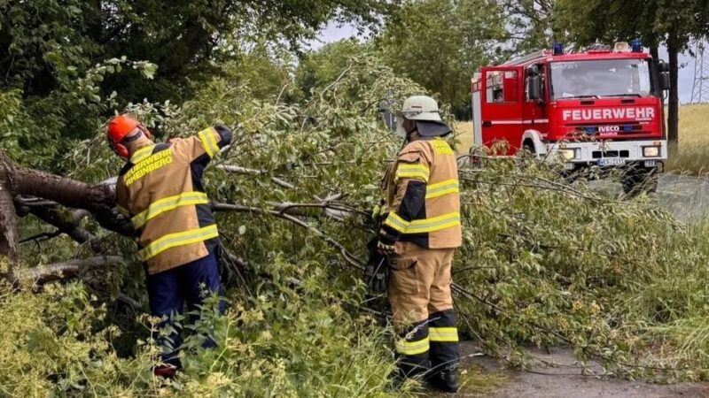 Feuerwehreinsatz in Rheinberg: Sturmschaden zwischen Borth und Ossenberg