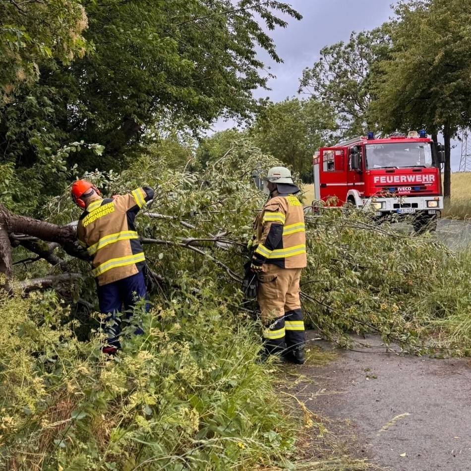 Feuerwehreinsatz in Rheinberg: Sturmschaden zwischen Borth und Ossenberg