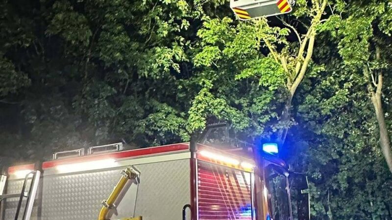 Sturmschäden in Emmerich: Bäume auf der Fahrbahn – Feuerwehr räumt Straßen frei
