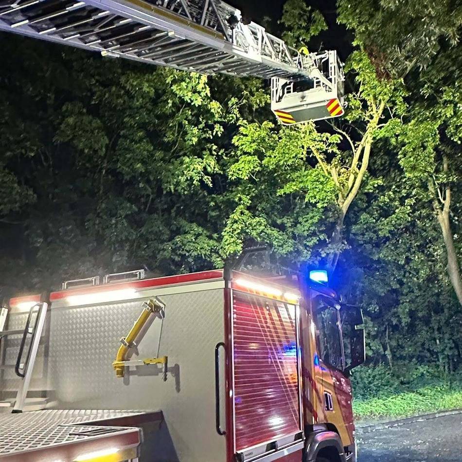 Sturmschäden in Emmerich: Bäume auf der Fahrbahn – Feuerwehr räumt Straßen frei