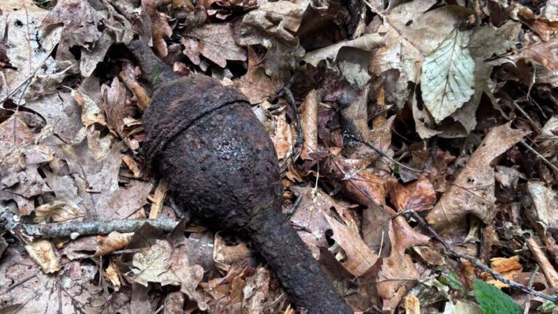 Sprengung im Alpener Wald: Kinder finden Munition aus Zweitem Weltkrieg