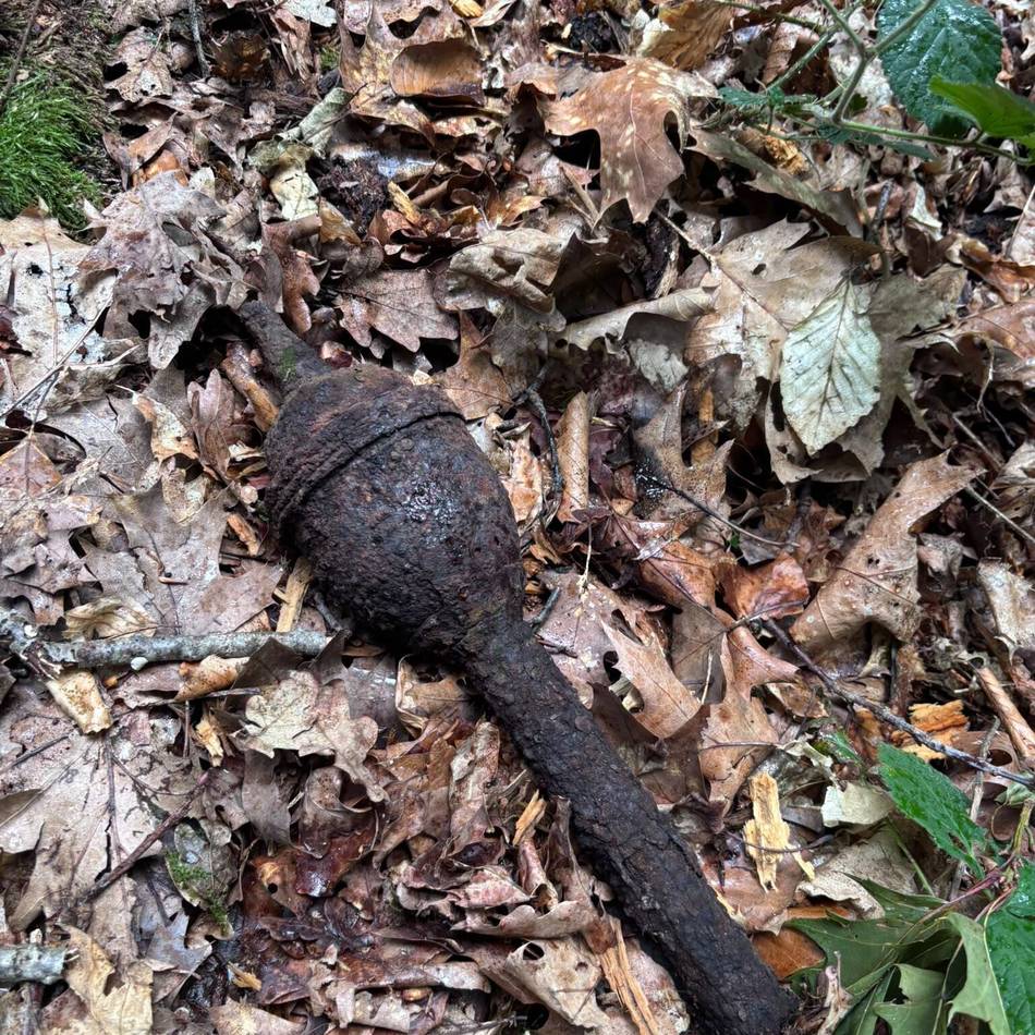 Sprengung im Alpener Wald: Kinder finden Munition aus Zweitem Weltkrieg