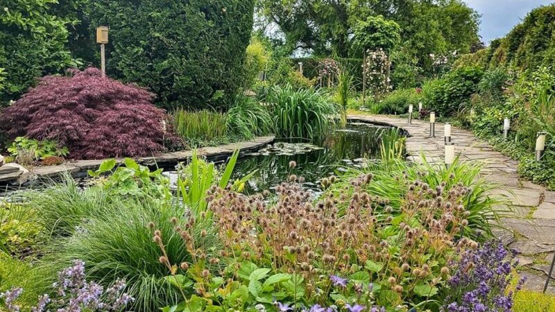 Neusser können mitmachen: Gartenwettbewerb geht in die dritte Runde