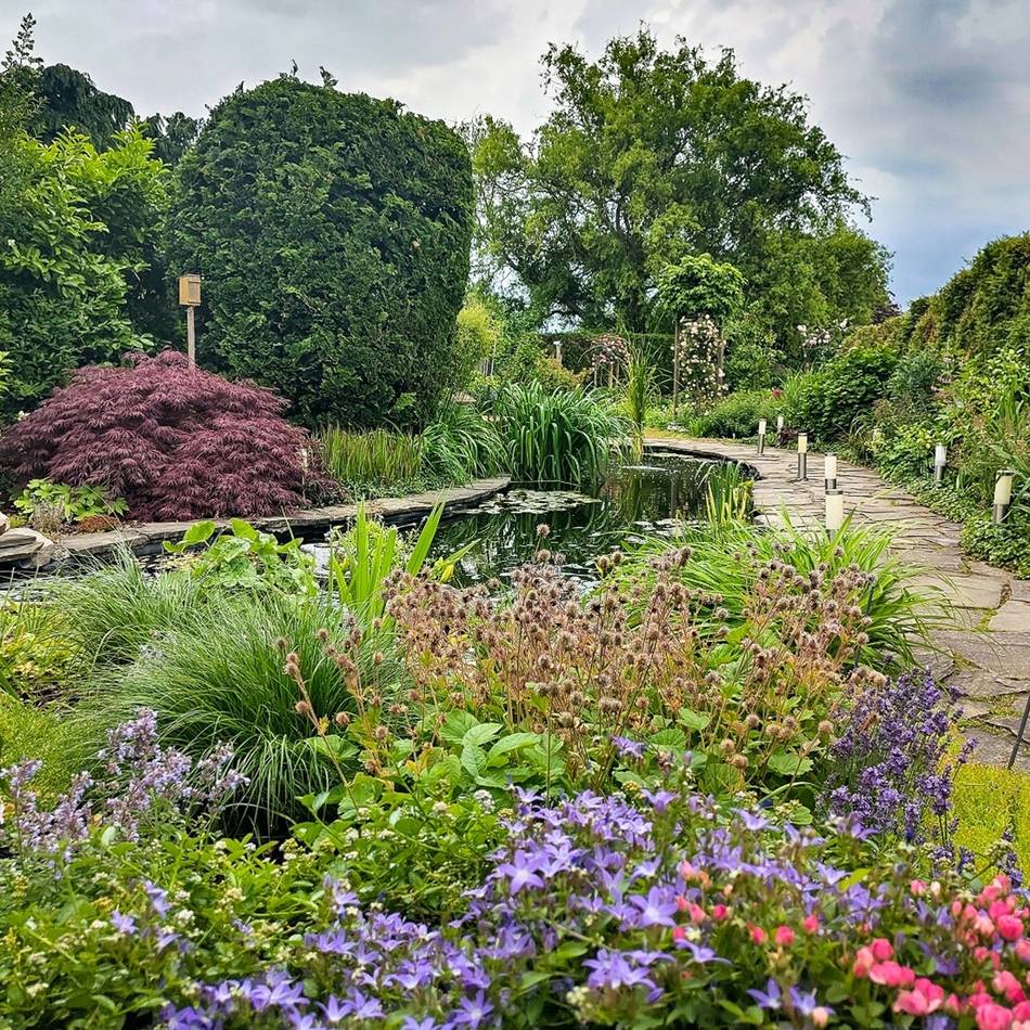 Neusser können mitmachen: Gartenwettbewerb geht in die dritte Runde