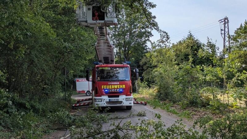 Feuerwehr Reichswalde rückte aus: Nur wenig Schäden durch
mäßigen Sturm
