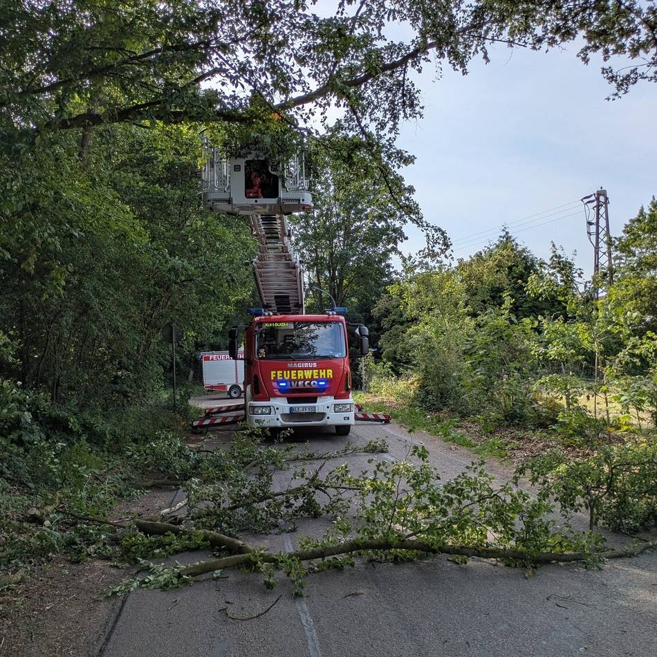 Feuerwehr Reichswalde rückte aus: Nur wenig Schäden durch
mäßigen Sturm