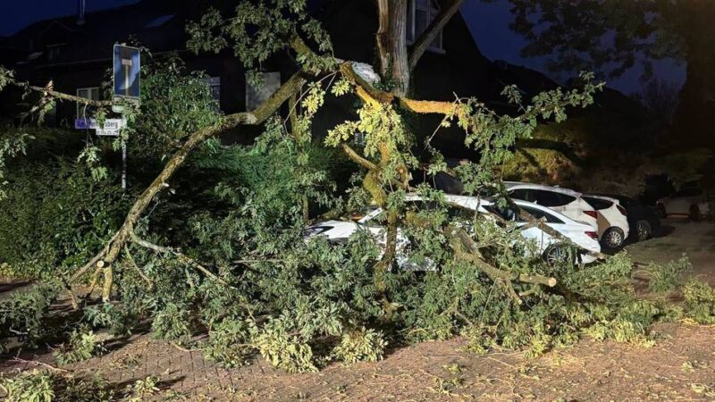 Unwetter im Kreis Mettmann: Sturm und Hitze fordern Feuerwehr mit weit über 100 Einsätzen