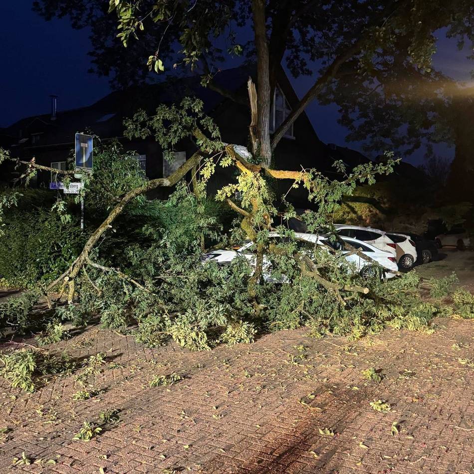 Unwetter im Kreis Mettmann: Sturm und Hitze fordern Feuerwehr mit weit über 100 Einsätzen