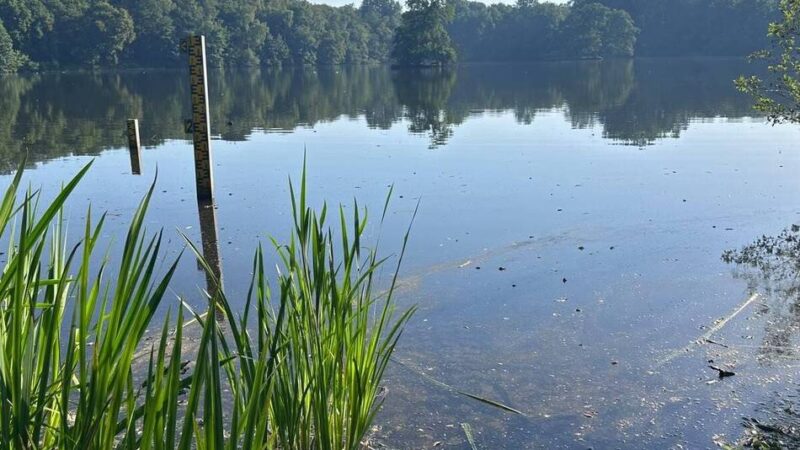 Rotbachsee in Dinslaken: Desaster wie 2025 vermeiden – Stadt und Lippeverband wollen Fische schützen