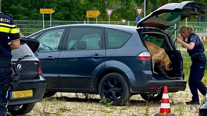 Kontrollaktion der Polizei im Kreis Heinsberg: Wenn der Spürhund mehr weiß als der Fahrer