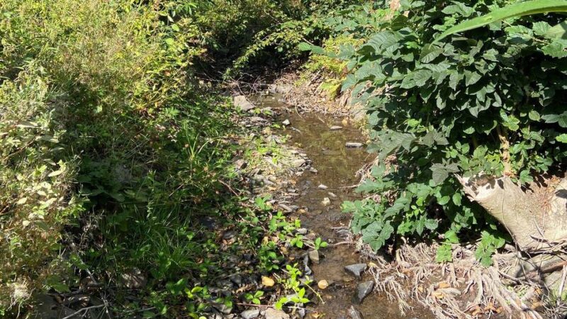 Umweltamt des Oberbergischen Kreises: Kein Wasser aus den Gewässern entnehmen