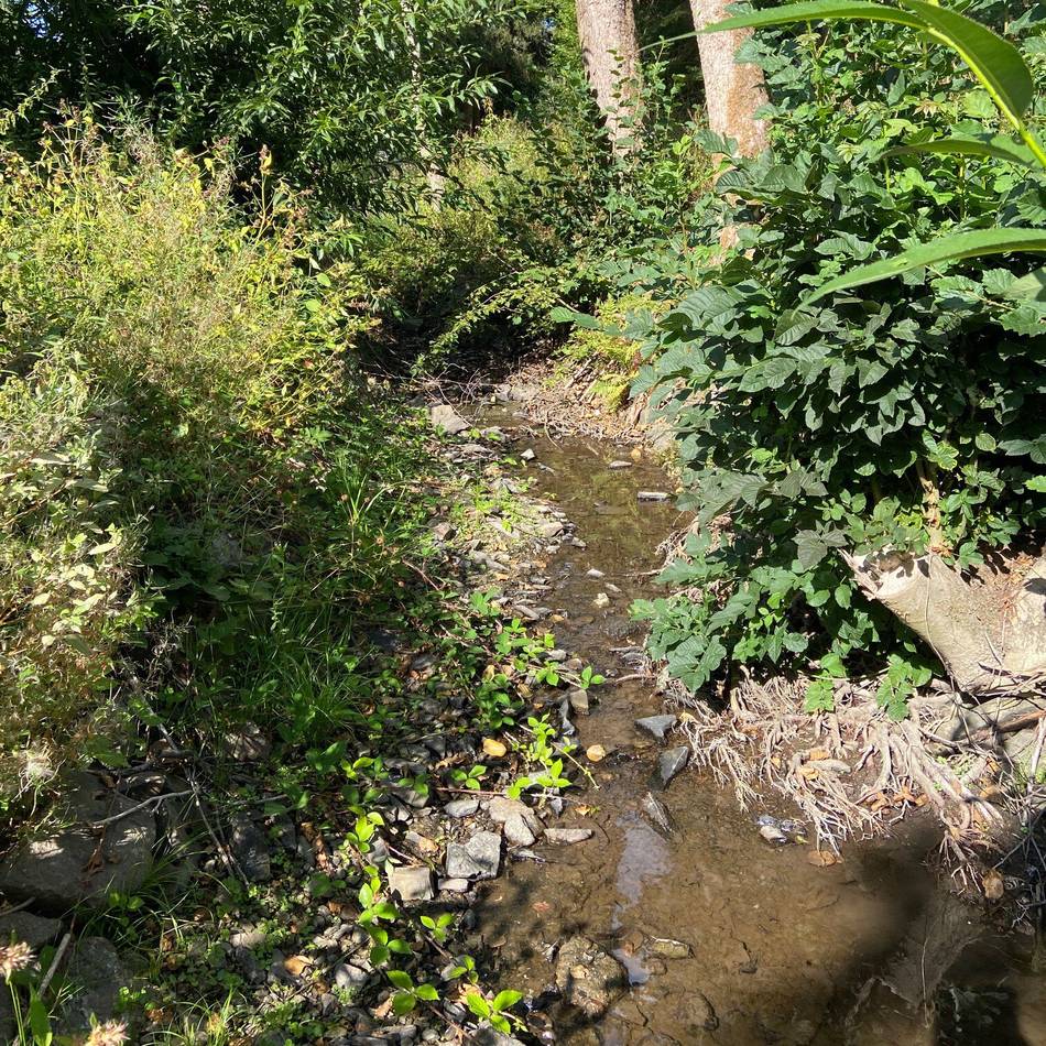 Umweltamt des Oberbergischen Kreises: Kein Wasser aus den Gewässern entnehmen