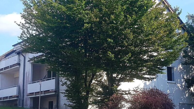 Bericht im Sozialausschuss: Zahl der Flüchtlinge ist in Hückeswagen spürbar gesunken