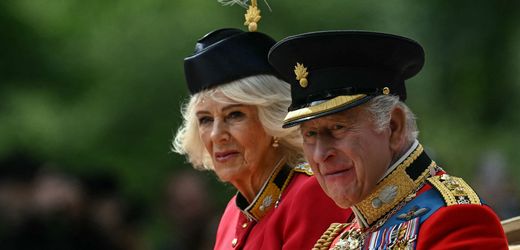 Royals: König Charles empfängt Prinz Harry und seine Familie in privatem Rahmen