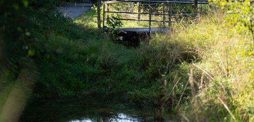 Filderstadt: Landgericht Stuttgart verurteilt Mann nach Fund von Kofferleiche zu zwölf Jahren Haft