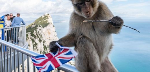 Spanien und Gibraltar heben Grenzkontrollen auf – neues Abkommen zwischen EU und UK