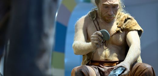 Evolution: Forscher finden Hinweise auf ausgestorbene »Geistervorfahren«