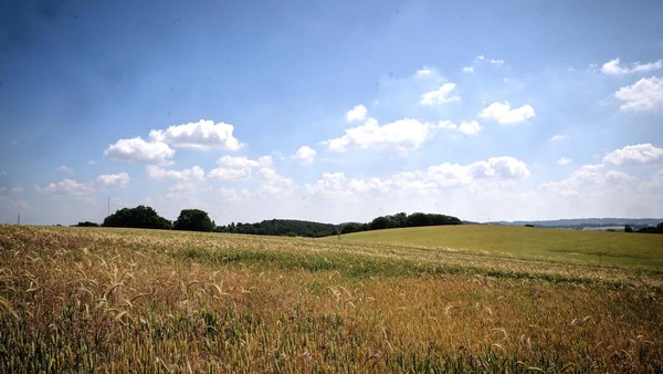 SPD stimmt für Gewerbegebiet: Rat gibt Mehrheit für „Große Feld“ in Velbert