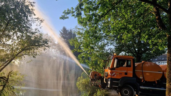 Hitze-Stress: Fische aus dem Abtskücher Teich in Heiligenhaus müssen umziehen